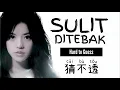 猜不透 • Cai Bu Tou • 丁当 • Della • Sulit Ditebak • Hard to Guess • Chinese Song • Lirik • Pinyin
