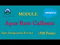 Apex Rest Callouts Apex Integration Services Salesforce answers