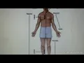 ACC Biol2404 IntroA P Lab1 Anatomical Terminology 01 Instructions