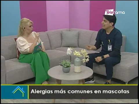 Alergias más comunes en mascotas