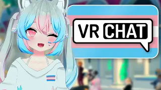 Why are there SO many Trans people in VRChat Gender Identity and Self Discovery