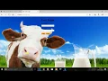 Dairy Milk Collection Billing System mini project with source code
