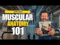 Upper Body Muscular Anatomy for NASM Trainers NASM-CPT 7th Edition