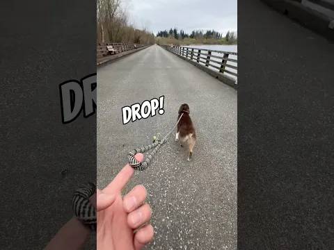 He dared me to run so I ran 🙃