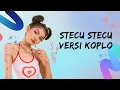 Download Lagu No Lyric 2025 STECU STECU - Difarina Indra Adella - OM ADELLA