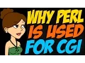 Why Perl is Used for CGI