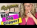 What is the Best Clipper for your Dog-Secrets you did not know