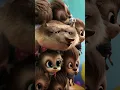 Hotel Transylvania 3 Summer Vacation Fish