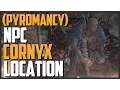 Dark Souls 3 Pyromancer Cornyx of the Great Swamp How to buy