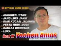 Download Lagu Koleksi Lagu - Lagu Pop  Yochen Amos (Official Music Audio)