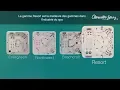 RESORT Series Hot Tubs