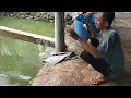 Download Lagu BANG AMAD ON LAGI‼️MANCING BORONGAN FULL LELE