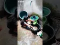 Download Lagu kasihan anak ini harus bekerja demi sesuap nasi😢