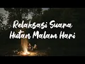 Download Lagu Relaksasi Suara Hutan Malam Hari, Pengantar Tidur dan Santai di Malam Sunyi