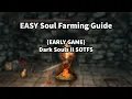 Dark Souls II Sotfs - EASY soul farming guide EARLY GAME
