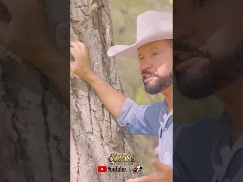Trailer OS SEGREDOS DO CORONÉ NA CIDADE DE CROÁ