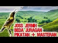 Download Lagu Master Suara Sogon (Sogok Ontong) Gacor Jernih