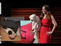 Pawnix on Shark Tank What is the cost who is the founder