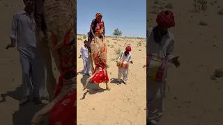 طقوس بدوية مميزة لا ت نسى  حيث يحيي المزارعون تقاليد قديمة بالجمال والطبول في حفل زفاف رائع دندنها