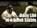 Daily Life at a Sumo Stable nippon com