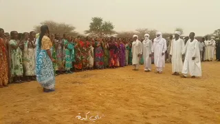 الزول العاجبنا 