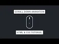 Learn How To Create A Scroll Down Animation With HTML And CSS In This FREE Tutorial