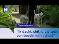 Download Lagu Dierenartsen ziet vaak door drugspoep vergiftigde honden