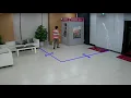 Cross Line Detection 1