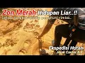 Download Lagu Ekspedisi Hutan | Zon merah hidupan liar..!