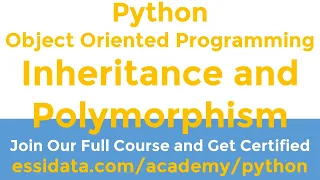 Object Oriented Programming OOP Inheritance and Polymorphism Python Tutorial