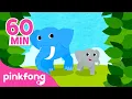 Lagu Belajar Nama Binatang! | Gajah dan hewan lain | Lagu Anak Pendidikan | Pinkfong Baby Shark
