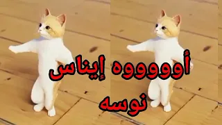 اغنية باسم ايناس نوسة ايناس السعودية الكويت تركيا العراق قطر مسقط البحرين الجزائر دبي جده الرياض 