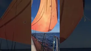 No Wind on the Way to Minerva Reef 🌊 Sailing at 3.5 Knots Under a Huge Sail | Pacific Ocean #shorts