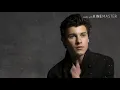 Download Lagu Shaw mendes stices