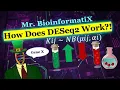 How Does DESeq2 Work Bioinformatics for Beginners GENE EXPRESSION ANALYSIS
