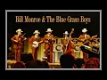 Kentucky Waltz - Bill Monroe & The Blue Grass Boys LIVE in Hendersonville, NC 1981
