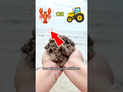 Con tôm hay chiếc xe nè các bạn 😚 #shorts #viral