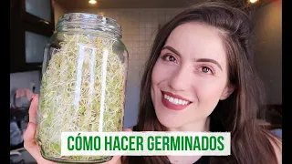 Download CÓMO HACER BROTES DE LENTEJA Y QUINOA EN CASA 🌱 MP3