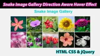 Snake Image Gallery Direction Aware Hover Effect Using HTML CSS jQuery Web Tutorials School
