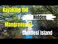 Kayaking the hidden Mangroves Of Caladesi Island