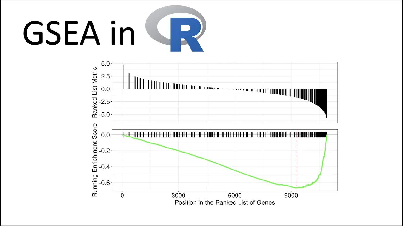 3 minute GSEA tutorial in R | RNAseq tutorials