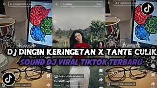 dj dingin keringetan x tante culik aku dong viral tiktok terbaru yang kalian cari 