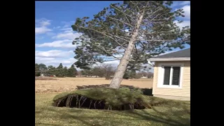 Wow What A Windy Weather Wednesday