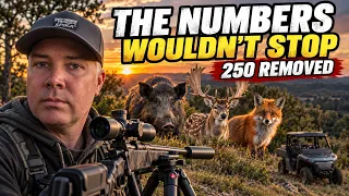 250 FERAL ANIMALS IN 2 NIGHTS | Thermal Pig, Deer & Fox Control
