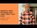 Serenity With Selenium And JUnit First Test Case