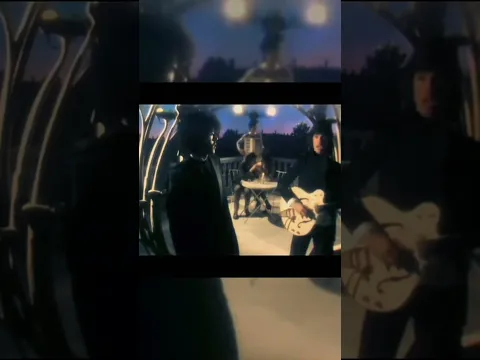 "Looking back at the photographs, those summer days spent outside corner cafés"