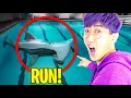 SWIMMING IN A SHARK FILLED POOL SHARKS AND MINNOWS Full Game