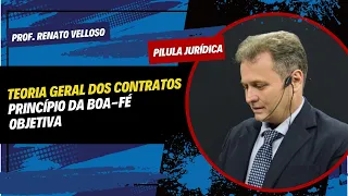 Pílula Jurídica: TEORIA GERAL DOS CONTRATOS – PRINCÍPIO DA BOA-FÉ OBJETIVA