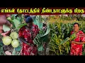 Download Lagu 25 நாட்களுக்கு பிறகு தோட்டத்துக்கு வந்த நாங்கள் | Our garden ♥️ | village life 