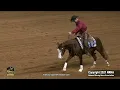 I Shine At Nite shown by Josh B Lyons - 2021 NRHA Futurity Open Semi-finals Sec 2